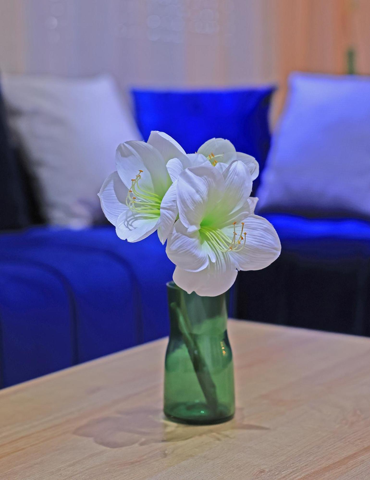 Hotel La Casa Blanca Tétouan 외부 사진